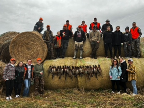 bales and pheasants